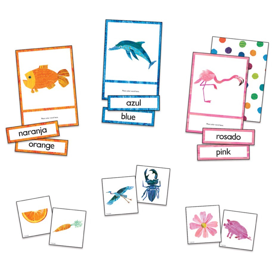 Learning Cards: Colors