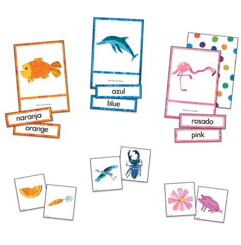Learning Cards: Colors