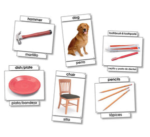 Learning Cards: Basic Vocabulary